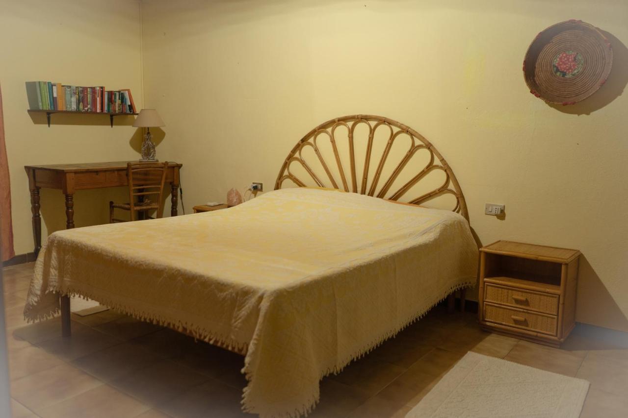 Bed and Breakfast Sa Domu De Ladiri - Matrimoniale Con Giardino à Musei Extérieur photo